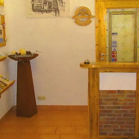 Alpenstern & Guest house